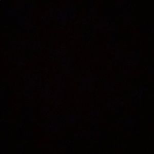 Meet your Posher, Daniela